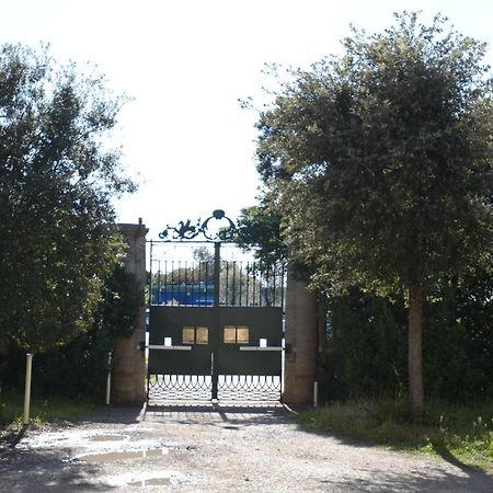 Villa Anselmi - Arteindiretta Livorno Exterior foto