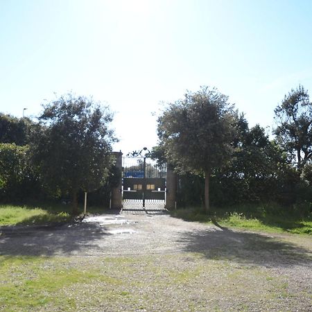 Villa Anselmi - Arteindiretta Livorno Exterior foto